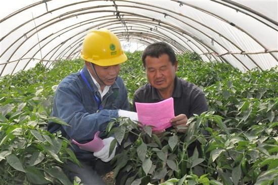 夏邑县:“电邻居”帮忙菜农致富快